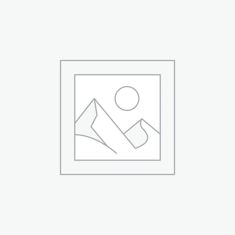 Désinfectant sans rinçage Bulle Verte Ecocert en vrac (1l)