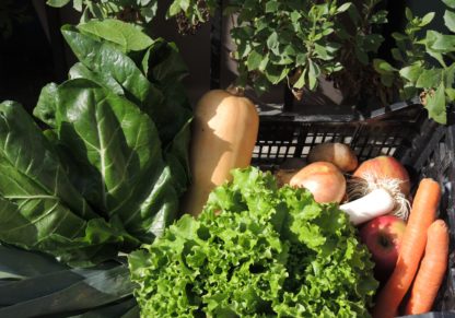 Panier de légumes Duo (±7kg)