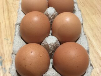 Œufs Pic Saint Lou Bio (6)