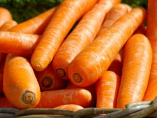 Carottes (1kg)