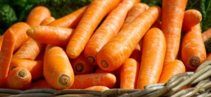 Carottes (1kg)