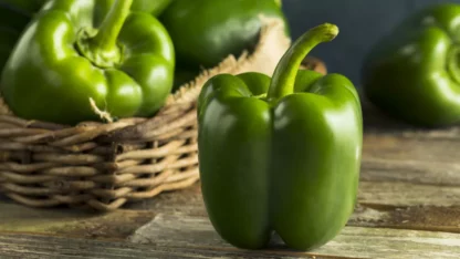 Poivrons  verts (500g)