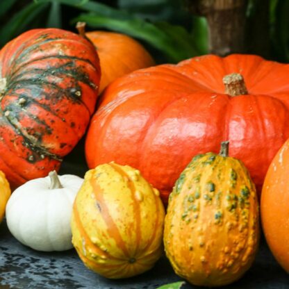 Courge (±2kg)