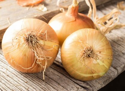Oignons (1kg)