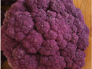 Brocolis violet Bio (±1kg)