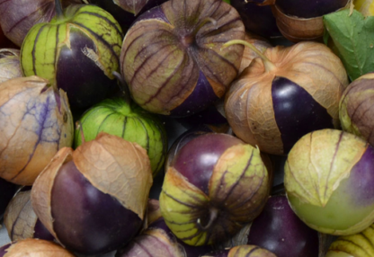 Tomatillo (à l'unité)