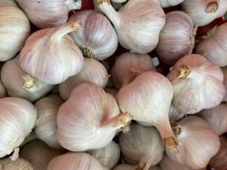 Ail Bio (100g)