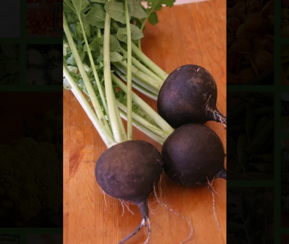 Betteraves Bio (±1kg)