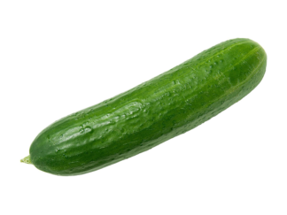 Concombre Bio