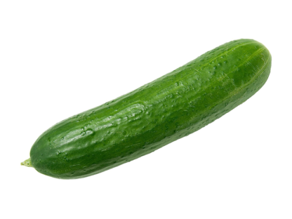Concombre Bio