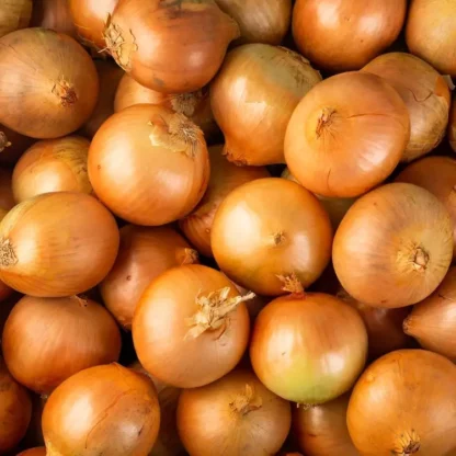 Oignons Bio (1kg)