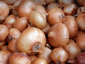 Oignons demi-doux Bio (1kg)