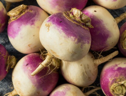 Navets (1kg)