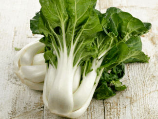 Chou chinois (pakchoï) Bio