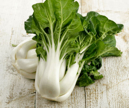 Chou chinois (pakchoï) Bio (botte de 500g)