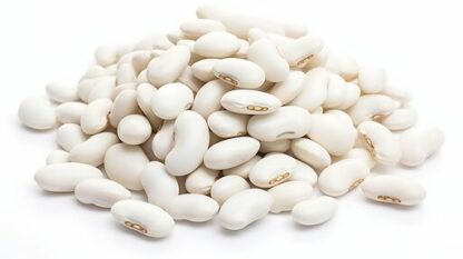 Haricots blancs (lingots)- vrac - 500g