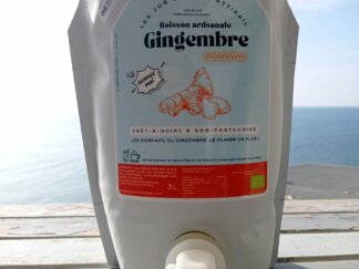 Jus de gingembre au curcuma Bio (3l)