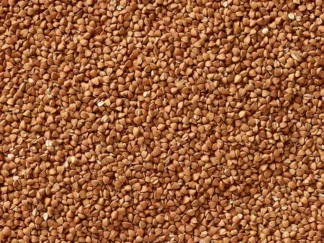 Sarrasin torréfié bio (kasha) vrac (origine France)