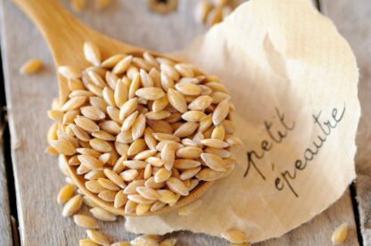 Petit épeautre Bio en vrac (1kg)