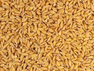 Petit Epeautre Bio (1kg)