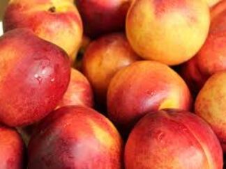 Epicerie Nectarines (±1kg)