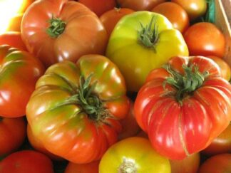 Tomates Bio (1kg)