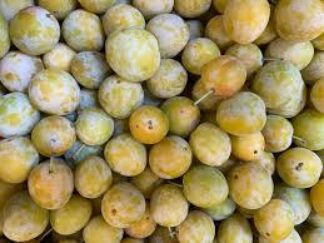 Mirabelles (500 g)