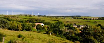 Bleu d'Auvergne (160g.) – Image 2