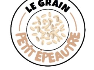 Petit épeautre Bio en vrac (1kg)