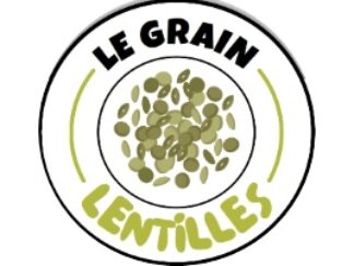 Lentilles vertes Bio en vrac (1kg)