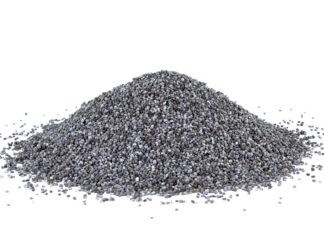 Graines de Pavot Bio