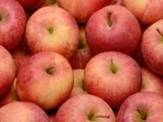 Pommes Dalirène bicolore Bio (±1kg)