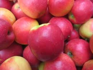 Pommes Pink Cripps bicolore Bio (±1kg)