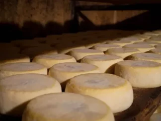 1/2 fromage de brebis à pâte molle (±250g)