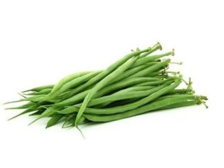 Haricots vert Bio (500g)